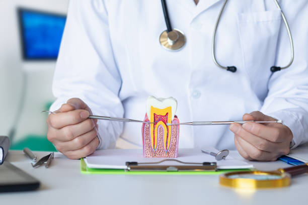 Best Emergency Dental Care for Broken or Chipped Teeth in Ponderosa Park, CO